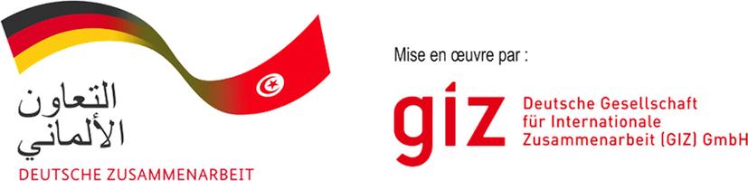 GIZ, coopération allemande