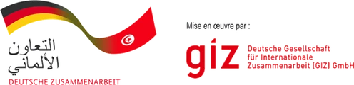 GIZ, coopération allemande